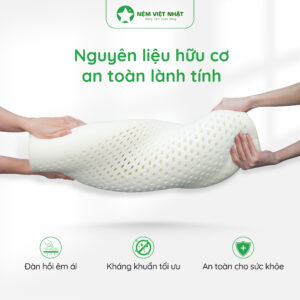 NEM VIET NHAT Goi nam cao su EC 03