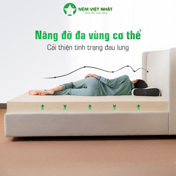 Nệm Cao Su Thiên Nhiên Việt Nhật Natural – Natural 26