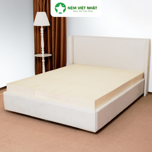 Nệm Cao Su Thiên Nhiên Việt Nhật Natural – Natural 5 2