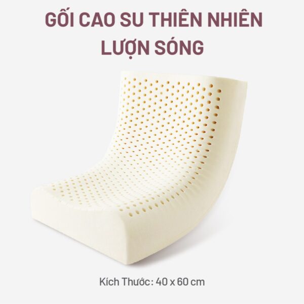 Tặng gối cao su 1