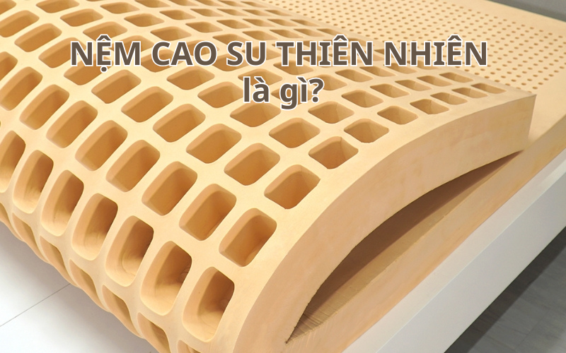 TOP 5 lý do bạn nên chọn nệm cao su thiên nhiên cho giấc ngủ của mình – chon nem theo nhu cau suc khoe 1