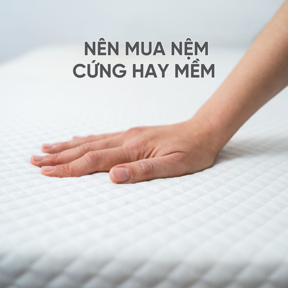 Category Archives: Tin trong ngành – nem da tang 4 1