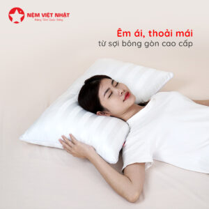[Tặng] 01 Ga Poly Việt Nhật – ảnh 20