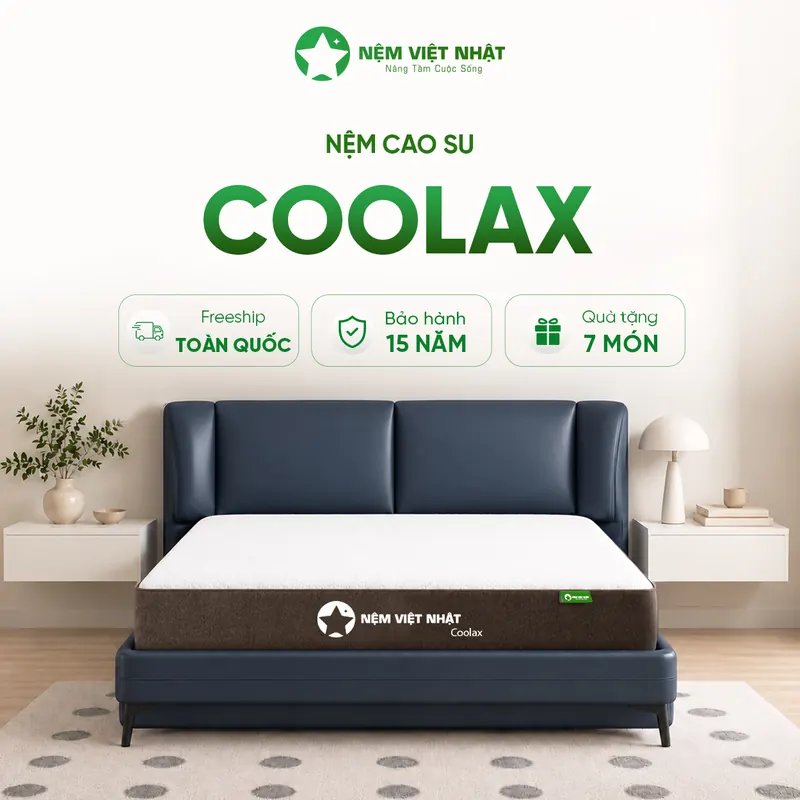 Nệm cao su Việt Nhật Coolax than tre